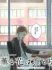 声音的边界音乐综艺全集在线观看